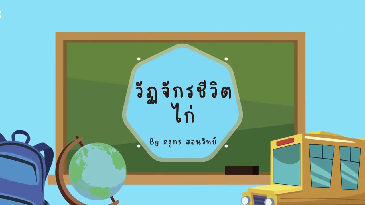 เพลงวัฏจักรชีวิตของไก่