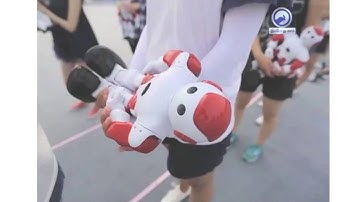 Dancing robots set world record in China | IPPODHU