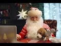 Именное видеопоздравление от Деда Мороза с сервисом от Mail.Ru