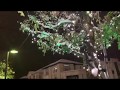 2019.02 snow
