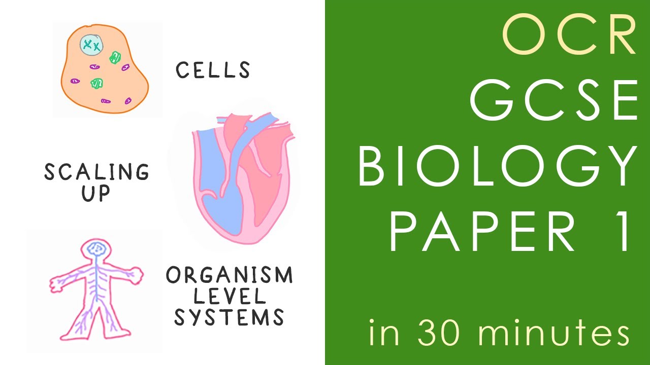 OCR GCSE Science Revision (Gateway)