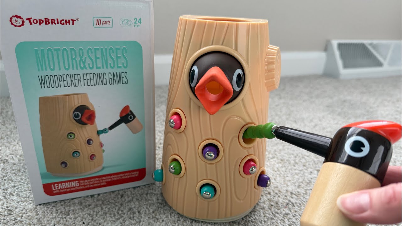 TOP BRIGHT Montessori Toy Review | Best Fine Motor Skills Toy for Toddlers (Ages 2–4)