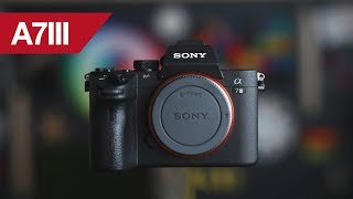 Sony A7Iii High Iso Performance