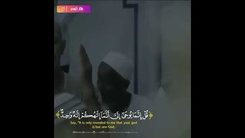 اجمل حالات واتس اب || قران كريم بصوت جميل جدا || يبكي القلب من كثرة خشوعه