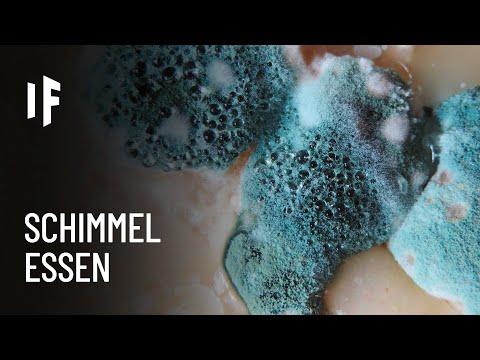 Video: Kann man Schimmel essen?