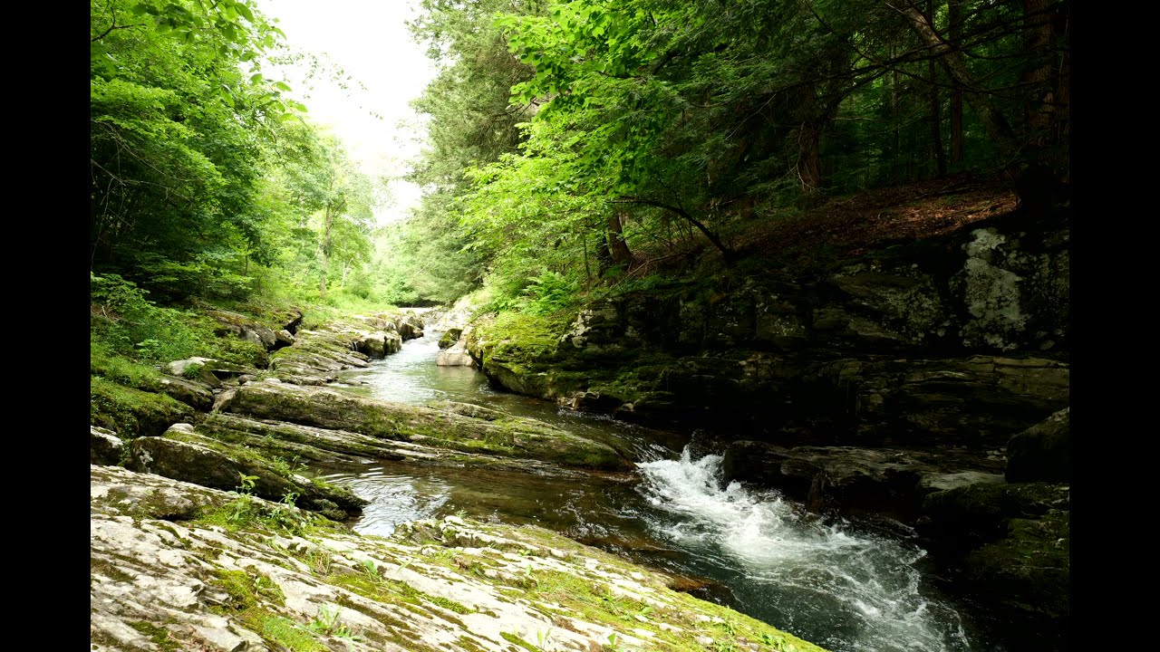 Poultney River, Poultney, VT timelapse 2021 07/07 YouTube