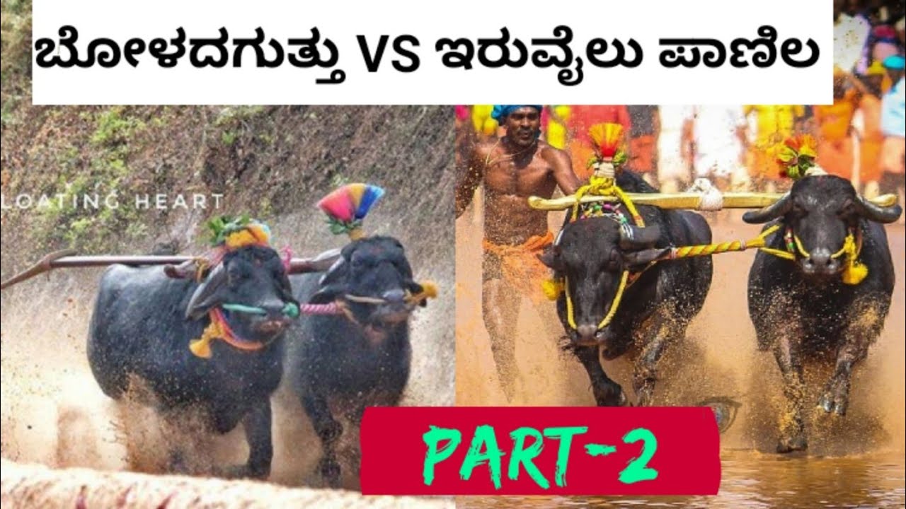 Iruvail Panila vs Boladaguttu Best Race Collection || Part-2 || Kambala || Namma Kambula ||