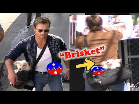 American Actor, Glen Powell's ADORABLE Puppy named "Brisket"