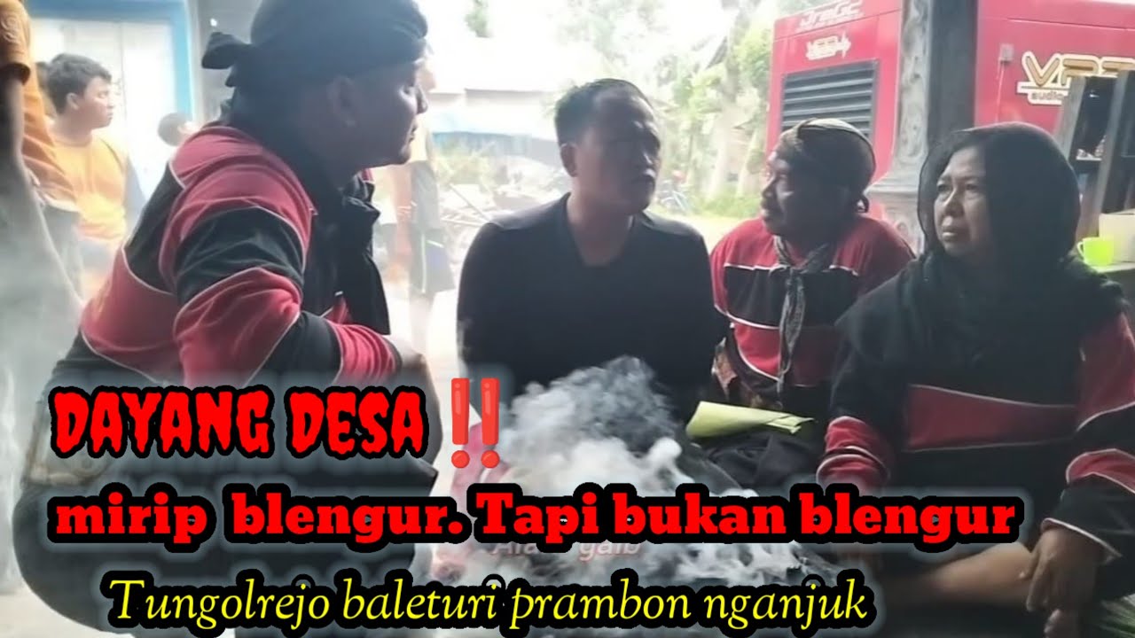 Kedatangan macan ternyata bukan Mbah Blengur,,,!!!? Tungulrejo baleturi prambon Nganjuk 