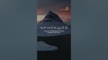 من أشهر تلاوات الشيخ هيثم الدخين || من سورة غافر