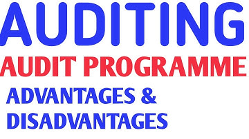 Audit Programme-Advantages & Disadvantages