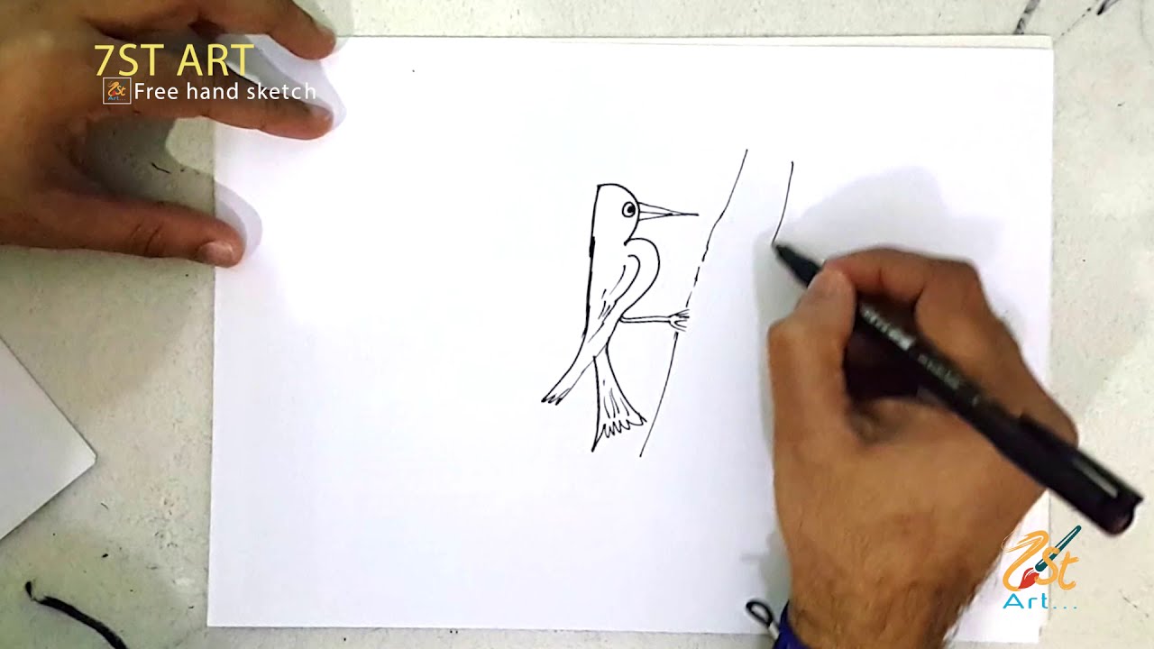 How to draw a WOODPECKER with Number 12