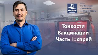 Вебинар Hipra University. Тонкости вакцинации, часть 1: Спрей