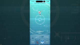 Adding shiny Cutiefly and Ribombee to the Pokédex!  #pokemongo