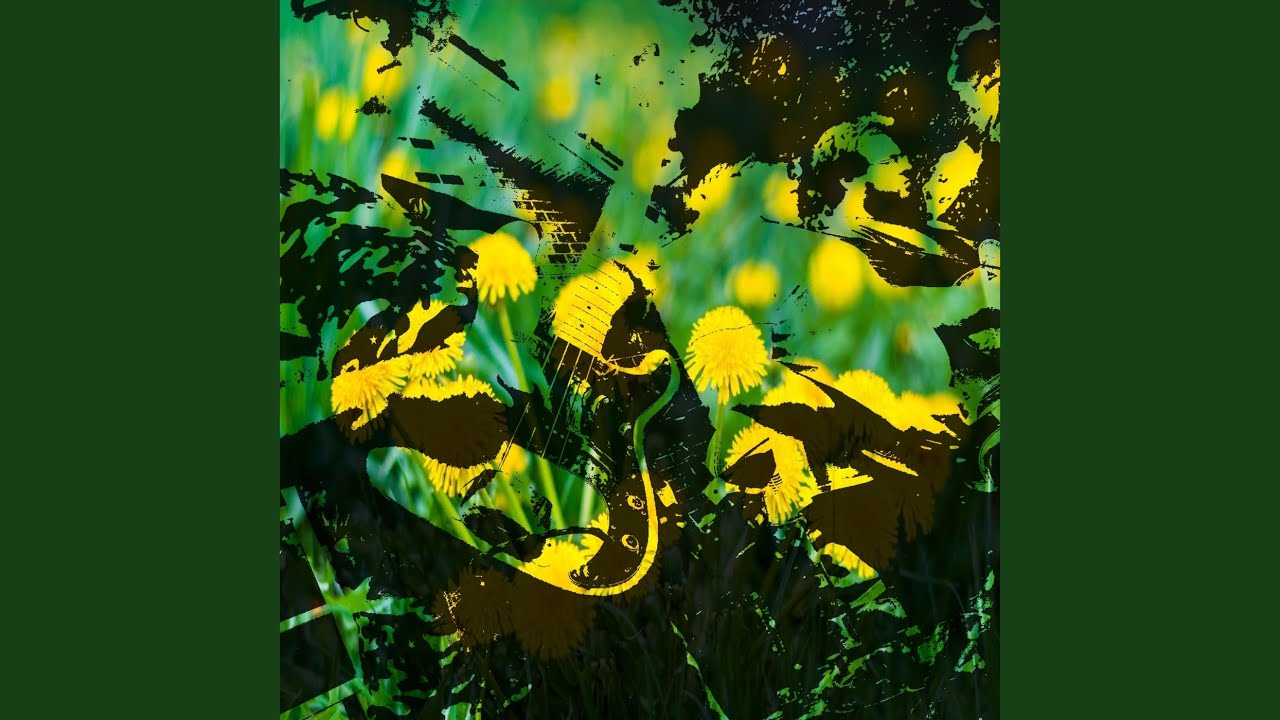 Fall in Love with the World