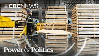 Ontario secures $229M in federal funding to help tariff-affected sectors | Power & Politics