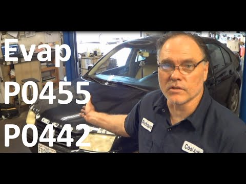 Vw evap codes P0442 small P0455 large leak