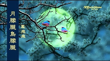 Thumbnail of 鳳飛飛 《月朦朧鳥朦朧》秋蟲在呢噥 ... （ 詞：瓊瑤 曲：古月） ♥ ♫•*•