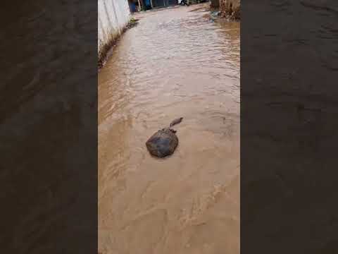 شوفو شنو خرج لواد اكسبلور Fish 