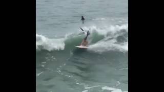 BEST SURFING WIPEOUTS | FUNNY SURF VIDEO ( @LIFEOFKOOK ) | FUNNY COMPILATION