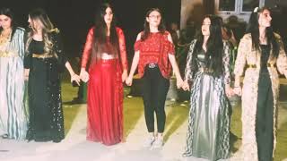 Tozu Dumana Katan Kürt Düğünü 💃🕺