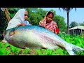 Bhape Podmar ILISH | ঠাকুমার হাতের গ্রাম্য পদ্ধতিতে বাংলাদেশের পদ্মার ইলিশ মাছের ভাপা রান্না দেখুন