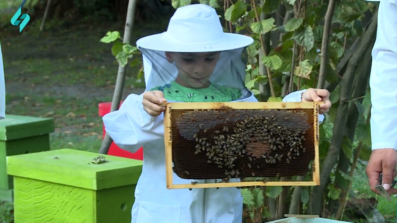 Zaqatala Arichilar Birliyinin sedri Movluddin Qurbaneliyev 