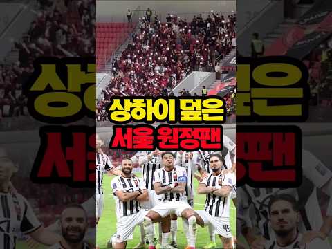 "잘 놀다 갑니다"