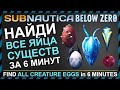 Subnautica BELOW ZERO ГДЕ НАЙТИ ВСЕ ЯЙЦА СУЩЕСТВ