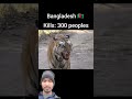 #Tiger Kills of each Country