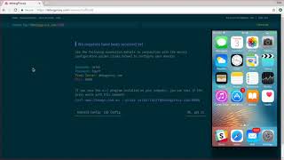 Authenticate debugProxy