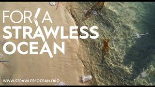 Plastic Straw Bans: Good or Bad?
