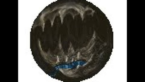 Ea Pyrene Scales Expo