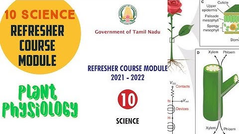 Refresher Course Module -10 Science Explanation &14 Plant Physiology Explanation Ans for Evaluation