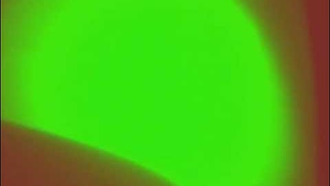 Feedback experiment 1