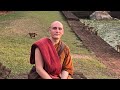 Live guided meditation with bhante varrapanyo and friends from thabarwa center cinquefrondi