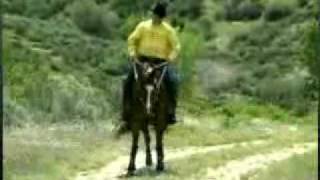 Speed Control Series: Cues to go forward and to Stop