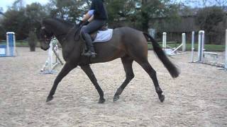 Archie flatwork
