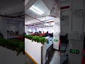 Customized bags, choose Quanzhou Haslor Bag Factory. #schoolbag#backpack #factory #bag #bags