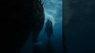 A whale vs a ship in a raging storm 🐋⚡#amazing #shorts #viral #thriller #whaleattack