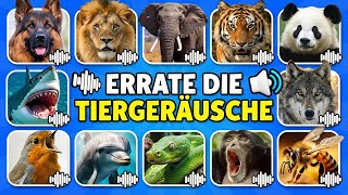 Errate 50 Tiere am Geräusch 🔊🦁🐼 | Tiergeräusche-Quiz screenshot 4