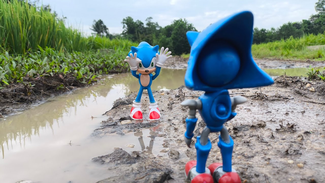 Sonic and Friend/Sonic Shadow/Were Hog/Knuckles/Metal Sonic/Sonic Hedgehog/Tails/Super Shadow/Eggman