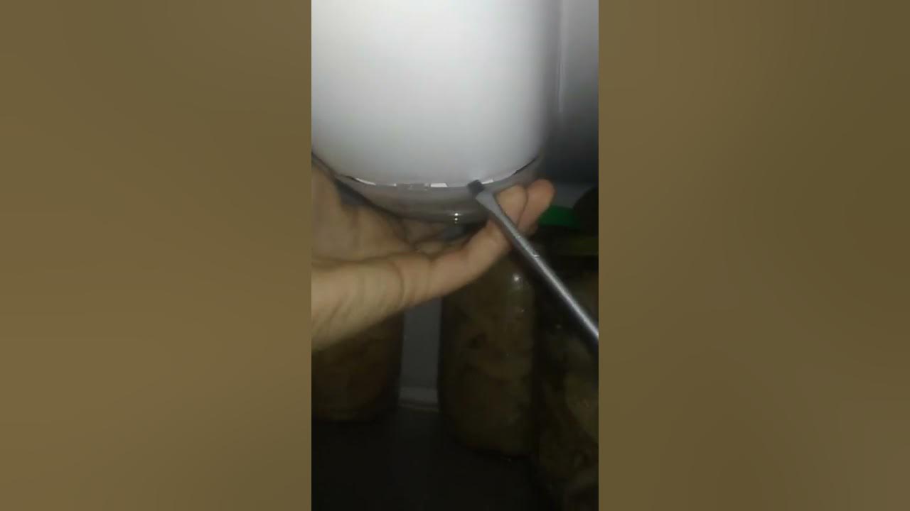 светильник для холодильников бирюса 151. замена светодиодной лампы в холодильнике бирюса. лампочка для холодильника бирюса. как поменять лампочку в холодильнике бирюса двухкамерный. сменить лампочку в холодильнике атлант.