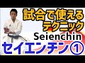 試合で使えるテクニック　セイエンチン①　Techniques Seienchin Karate 空手 からて Kata 形　Ryusensei りゅう先生　りゅうチューブ