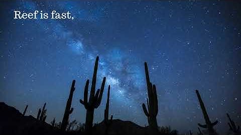 Reef Chain is an EVM compatible blockchain for DeFi, NFTs and Gaming. @Reef_Chain #Reef