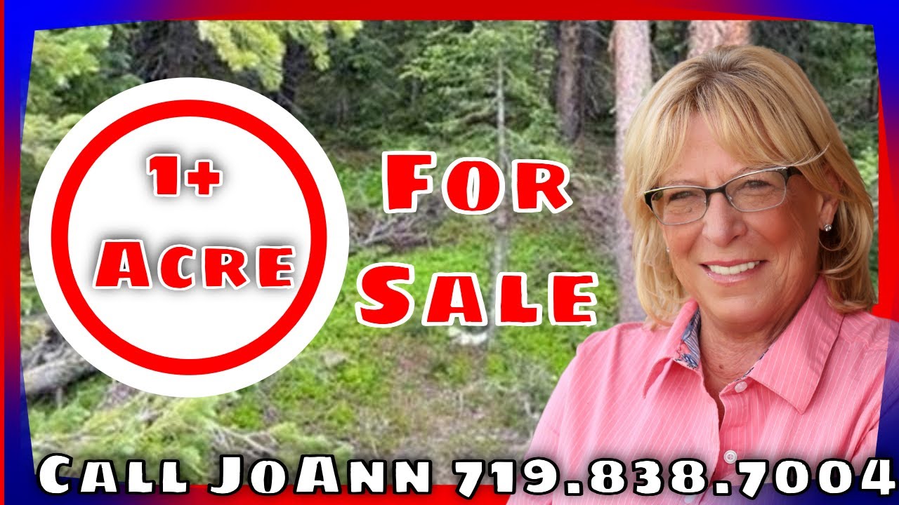 Mountain land for sale 1031 PRUNES PLACE, Fairplay, CO YouTube
