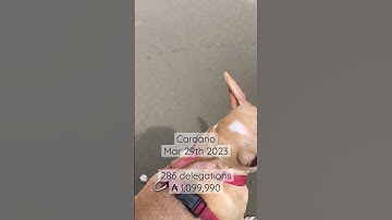 Stake Pool Update (3/29/23)