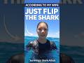 According to My Wife: Just Flip the Shark 🦈😂