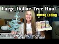 Large Dollar Tree Haul | DIY Ideas| Special Ending | Oct 16