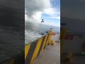 Galveston Ferry!